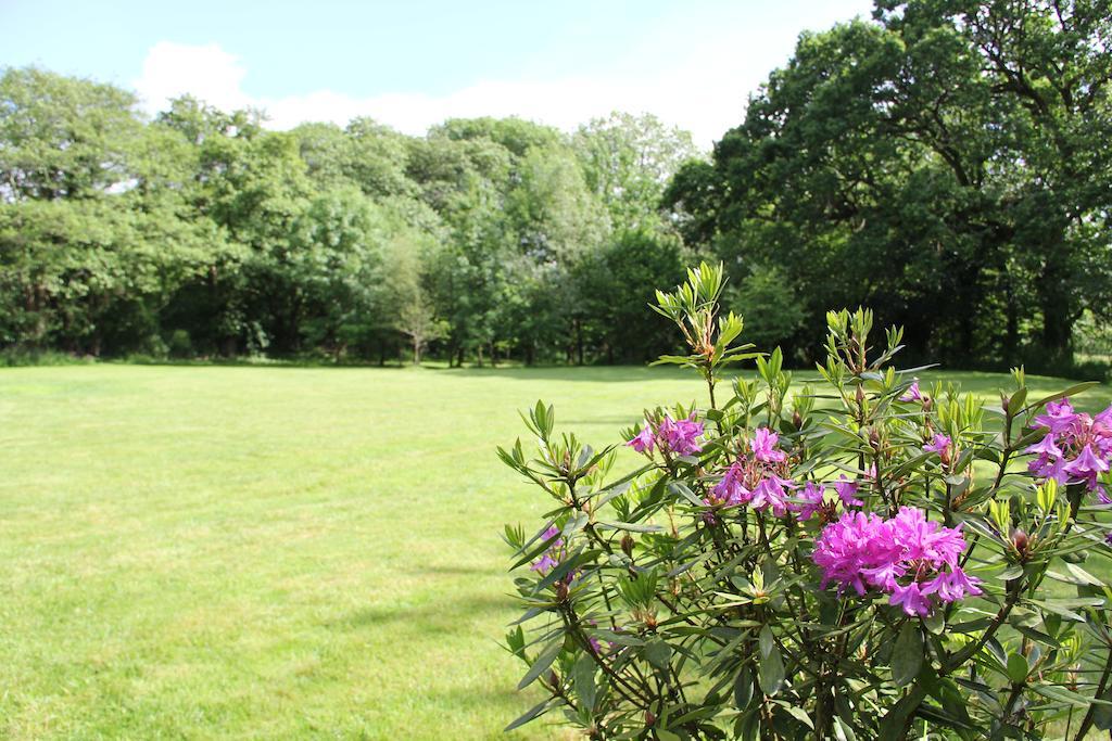 Newmoor Park Hotel Launceston Exterior photo